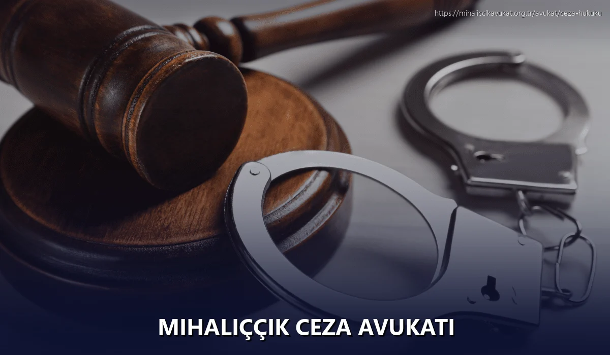 Mihaliççik Ceza Avukatı